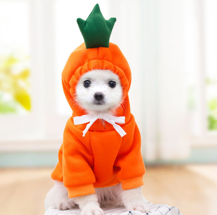 Autumn/Winter Clothing for Small & Medium Dogs – Adorable Two-Legged Cat Design