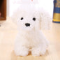 Cute plush dog plush doll pendant Teddy doll