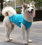 XS-5XL Dog Vest Dog Shirt Summer Small Medium Dog Clothes Chihuahua Tshirt